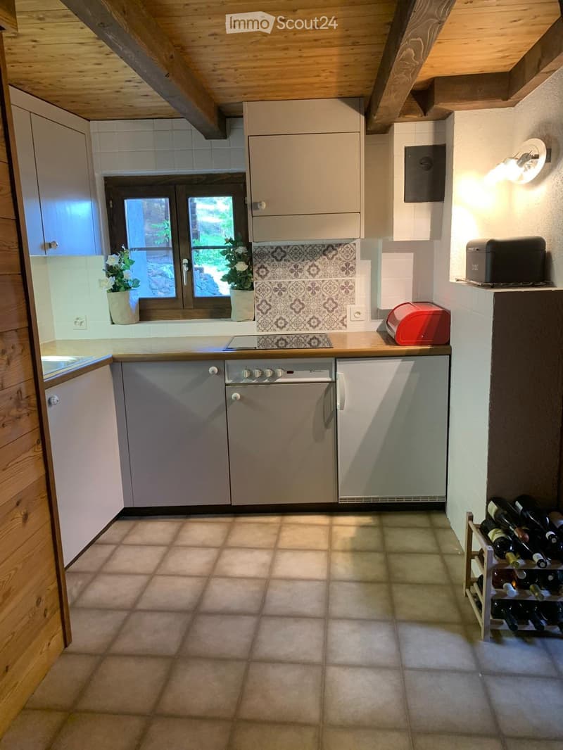 Appartamento duplex 2,5 locali con parcelle (3)
