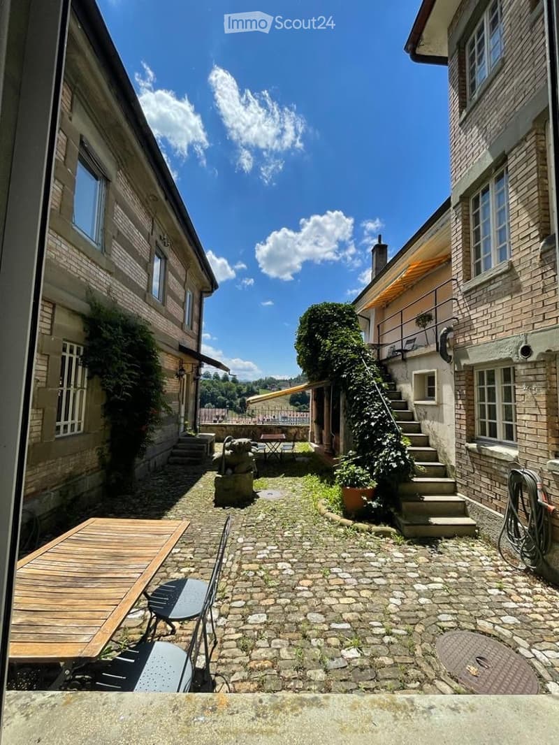 Large 3.5 room apartment (5)