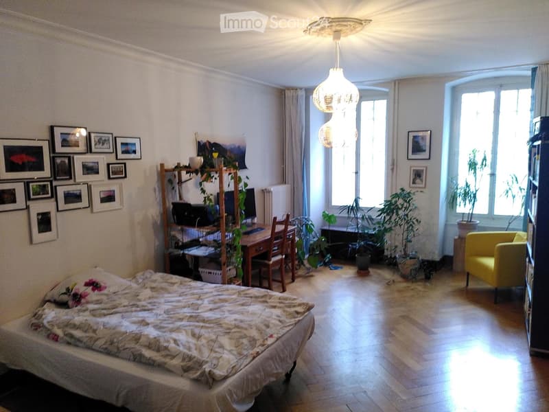 Large 3.5 room apartment (4)