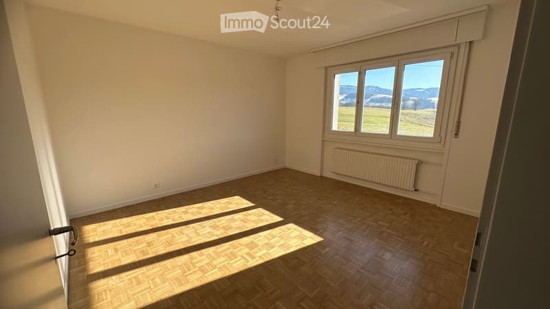 Appartamento completamente ristrutturato di 4.5 locali al piano rialzato (3)