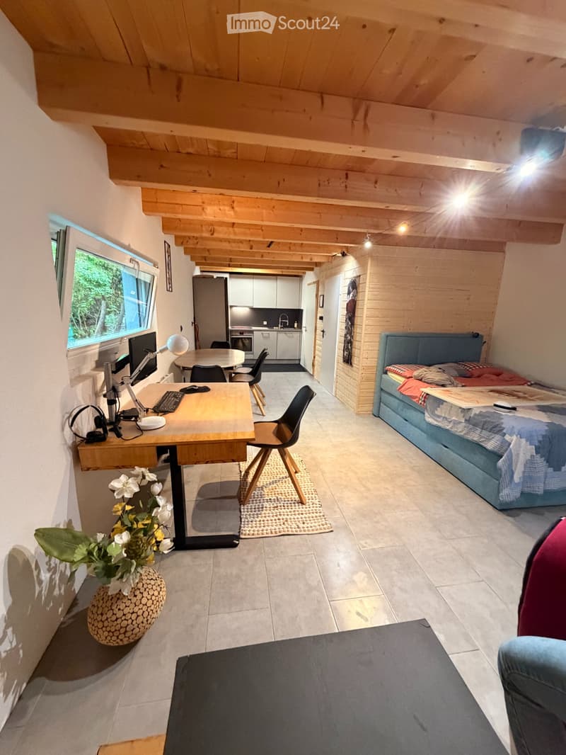 Studio - Student room from Monday to Friday (6)