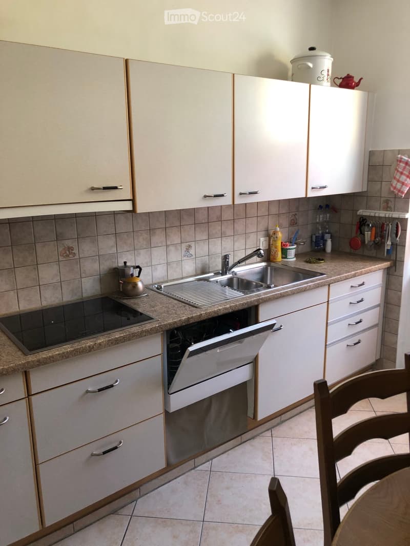 Bello appartamento mantenuto in un edificio di 5 appartamenti (3)