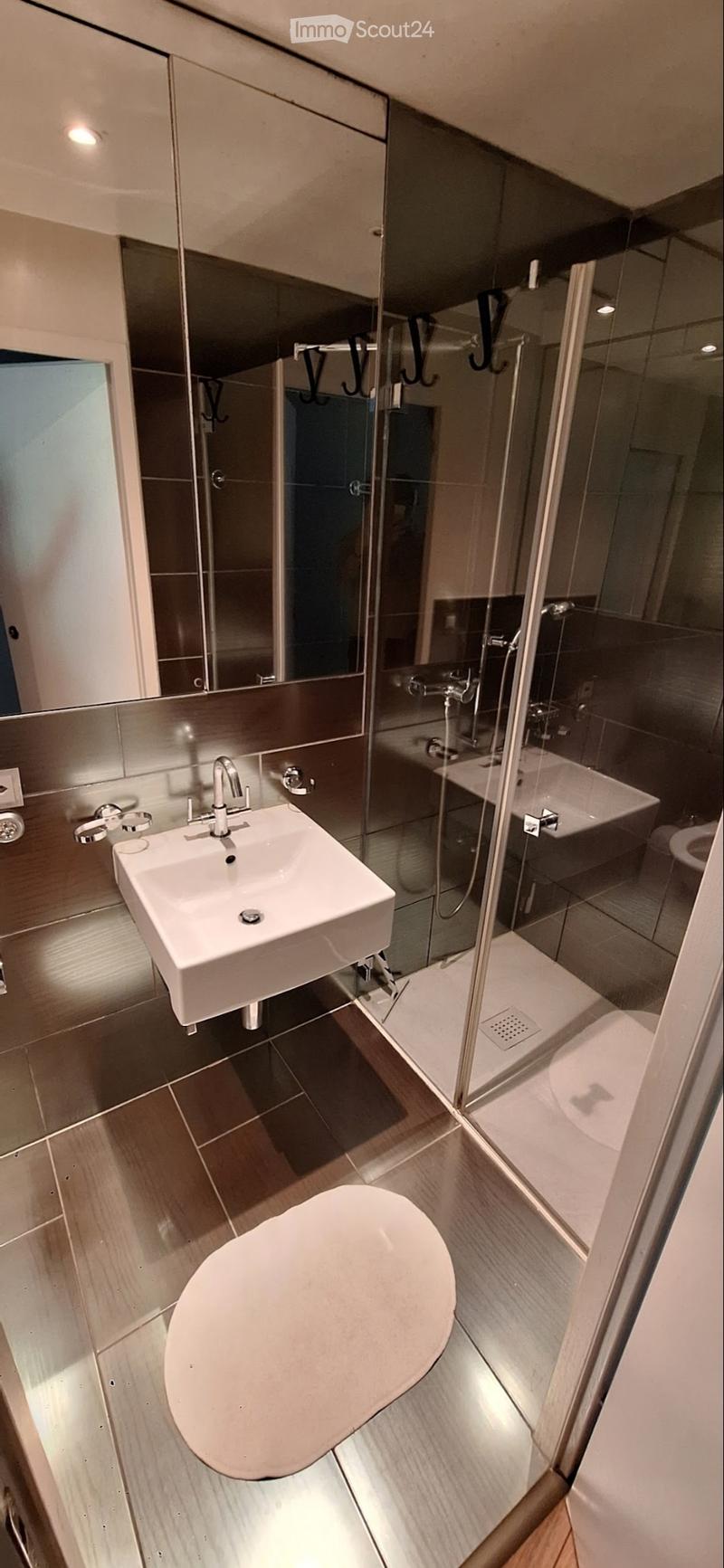 Magnifique Loft au centre de Lausanne (3)