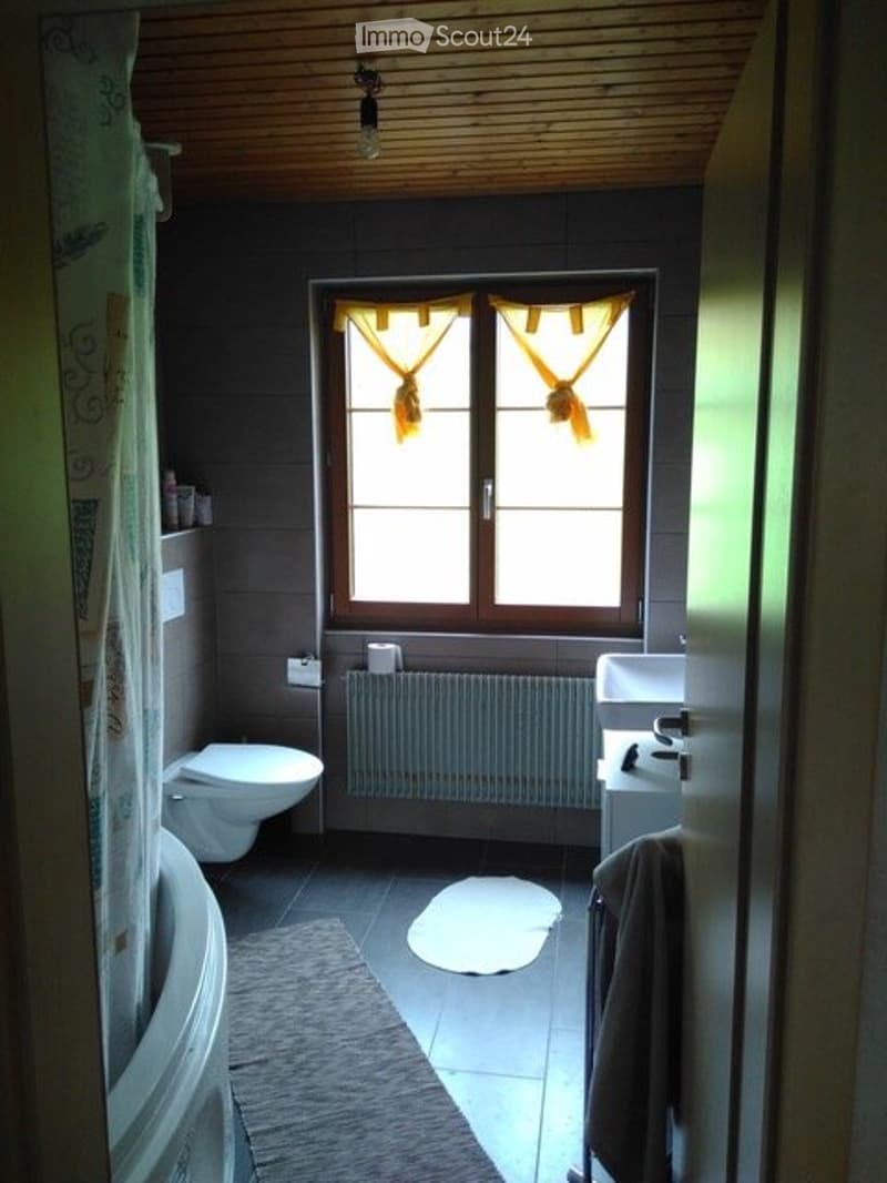 Appartamento di 4,5 locali in una casa familiare (5)