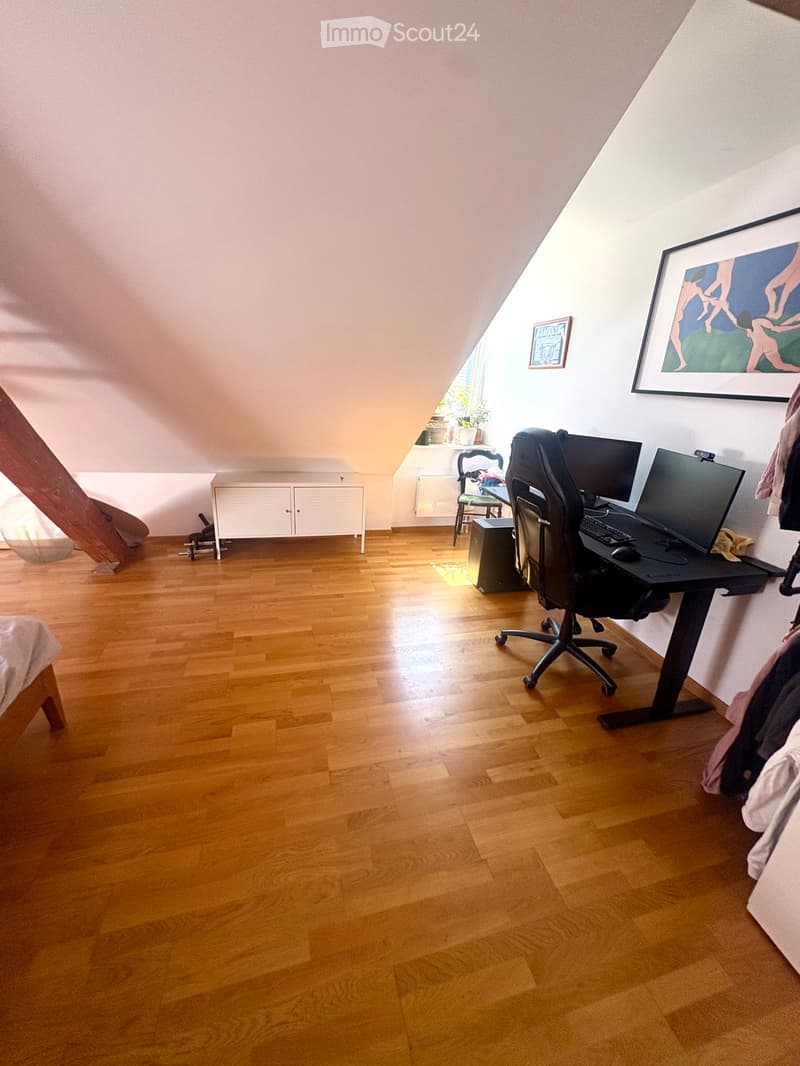 Magnificent 3.5-room apartment (3)