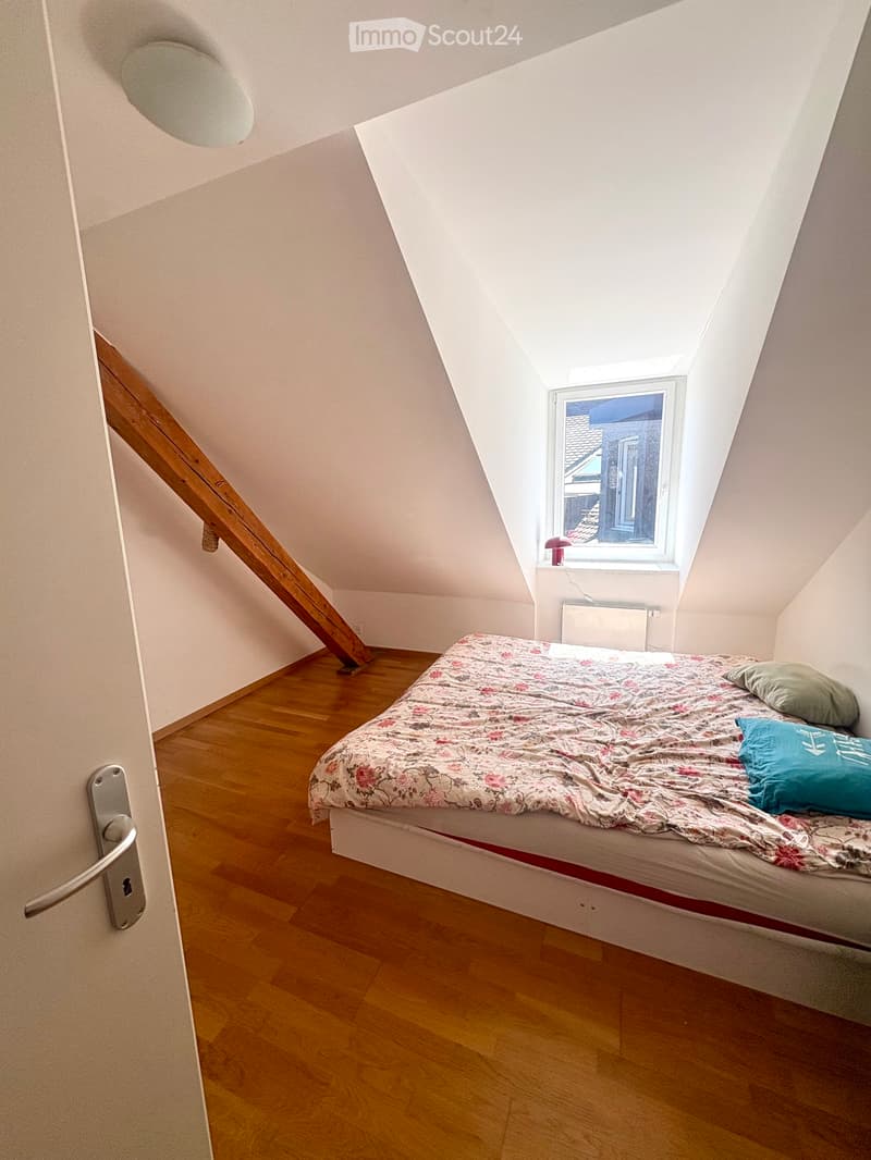 Magnificent 3.5-room apartment (5)