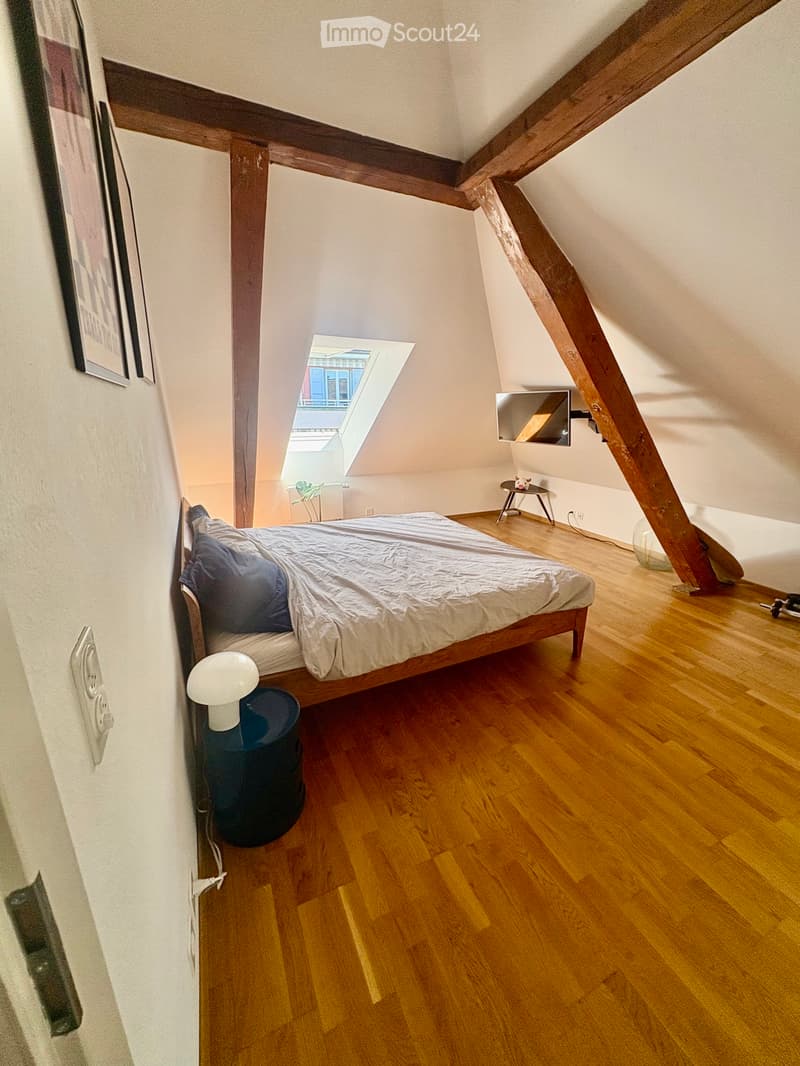Magnificent 3.5-room apartment (4)