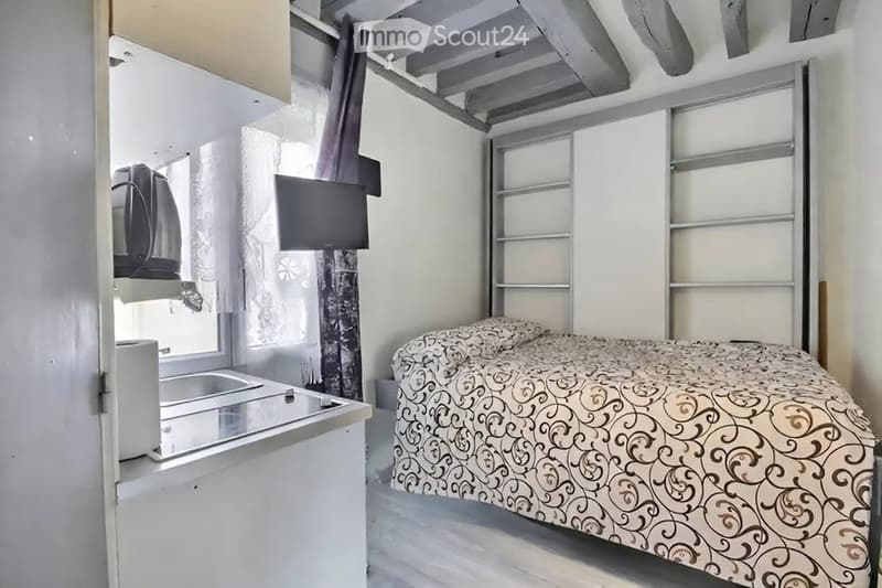 Monolocale arredato 1.5 locali Carouge luminoso e funzionale (5)