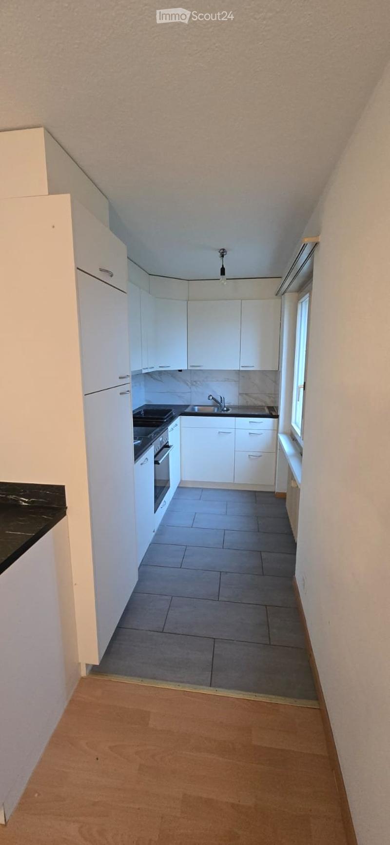 Appartamento 3,5 locali in affitto (2)