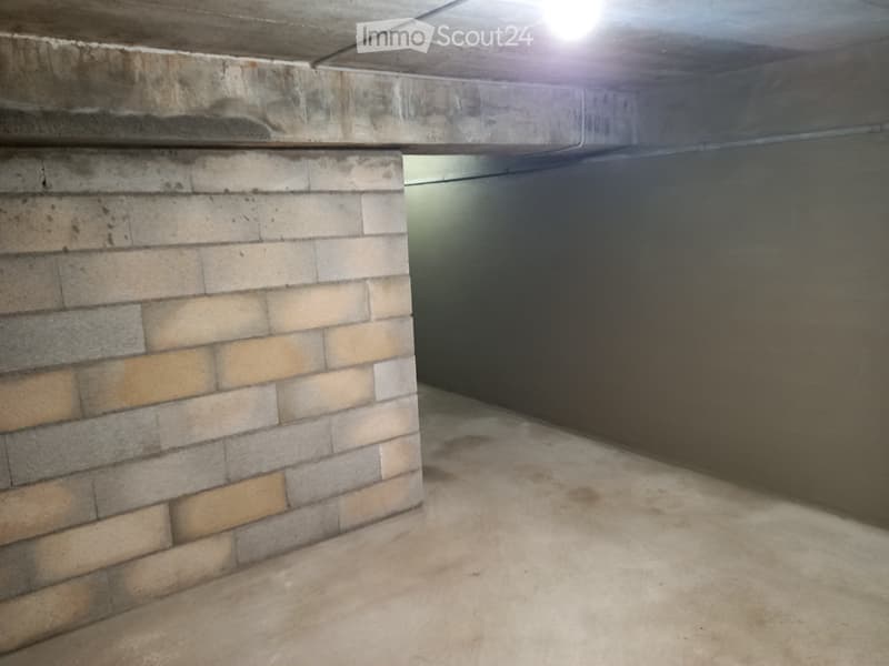 Piccolo edificio con 3 appartamenti da ristrutturare (3)