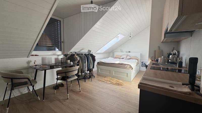 Appartamento monolocale arredato in affitto (4)