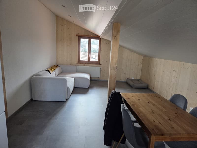 2,5 Zimmer vollständig renoviert im Jahr 2025 (3)