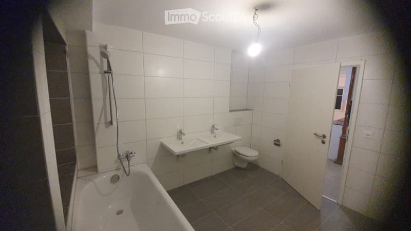 Schönes komplett renoviertes Apartment (5)
