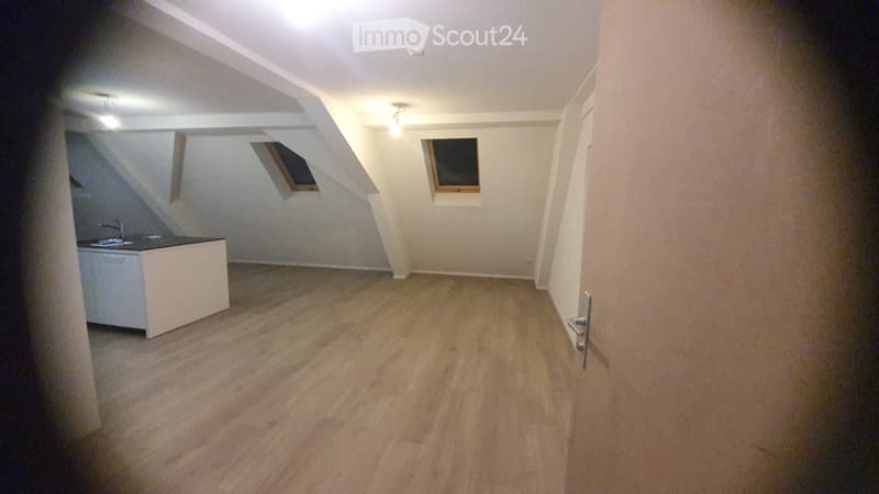 Schönes komplett renoviertes Apartment (2)