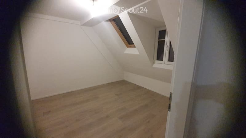 Schönes komplett renoviertes Apartment (4)