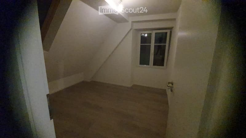 Schönes komplett renoviertes Apartment (3)