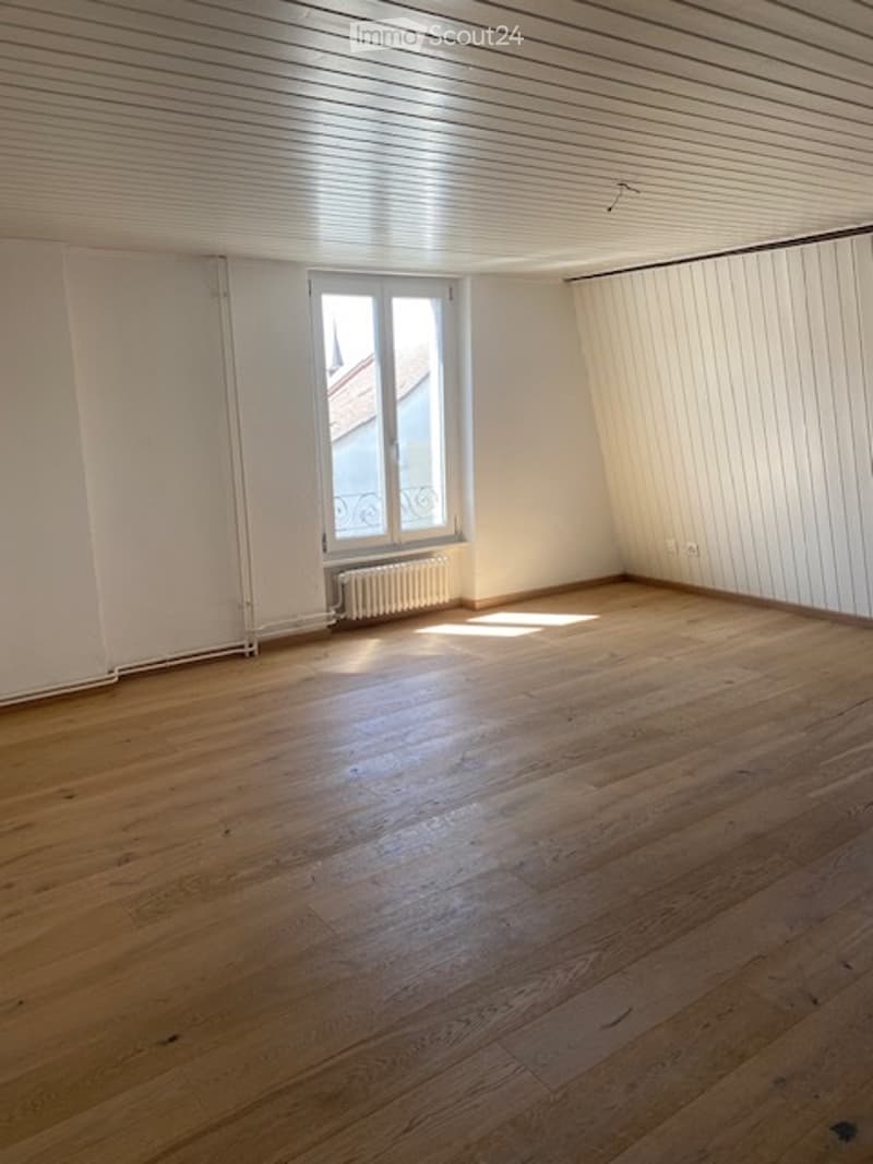 Apartment 4.5 close to all amenities (4)