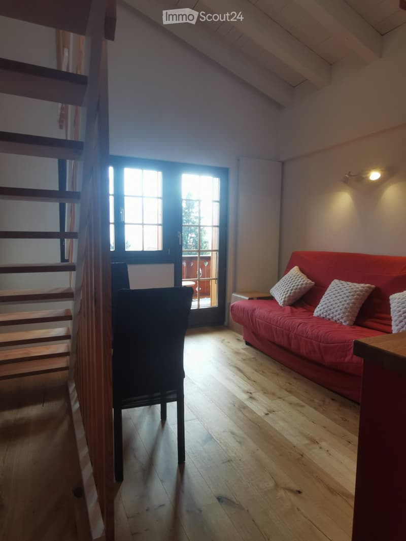 Posizione stagionale - Studio 4 persone Villars (2)