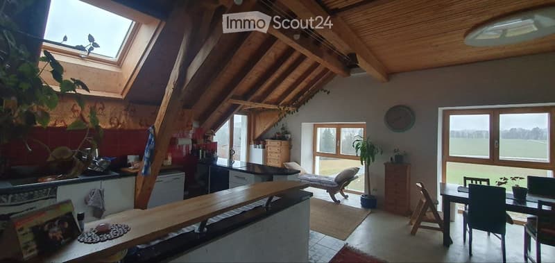 Appartement in einer Genossenschaft mit schöner Terrasse (2)