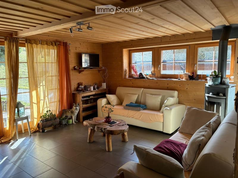 Appartement à vendre au coeur du village des Mosses (5)