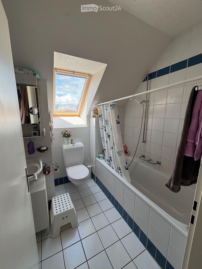 Large room for sublet (4)