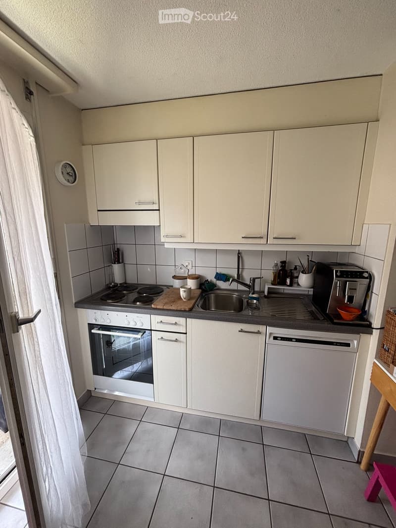Large room for sublet (3)