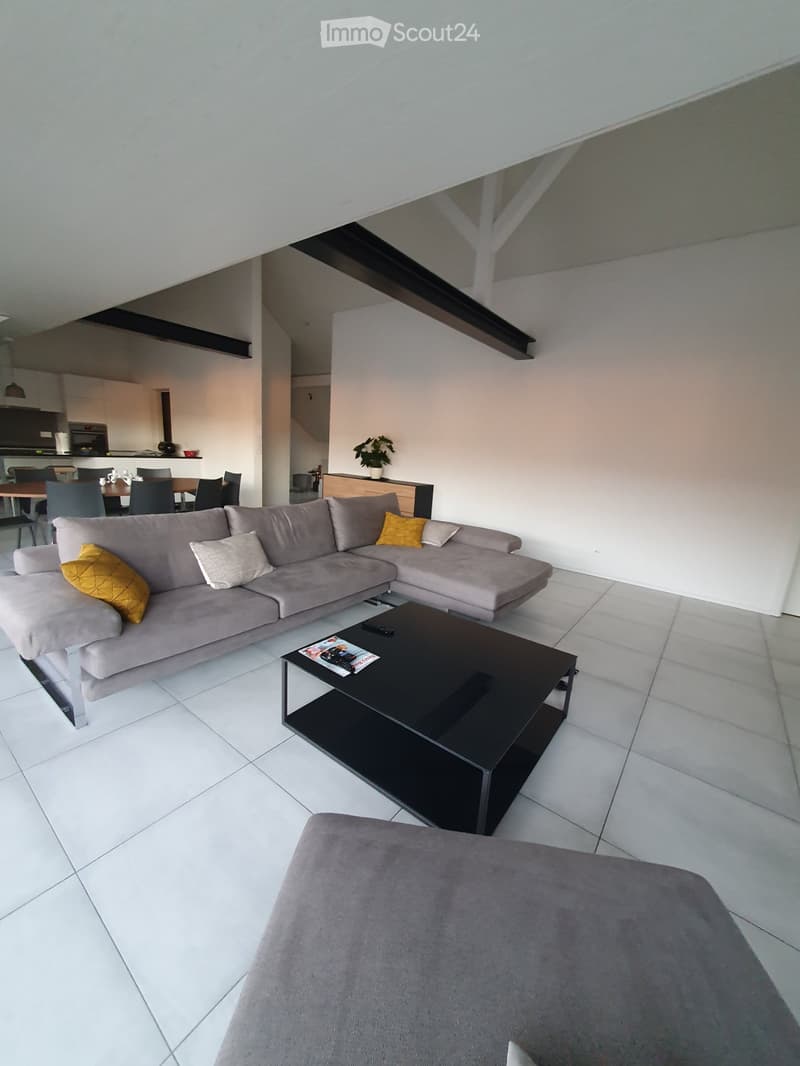 Magnificent attic apartment (2)