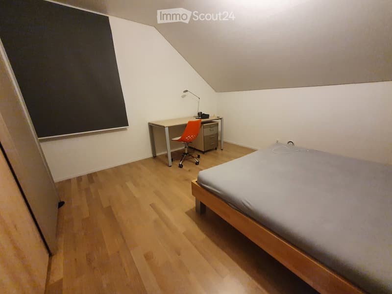 Magnificent attic apartment (4)