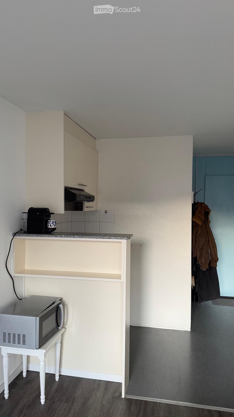 Apartment for rent (3)