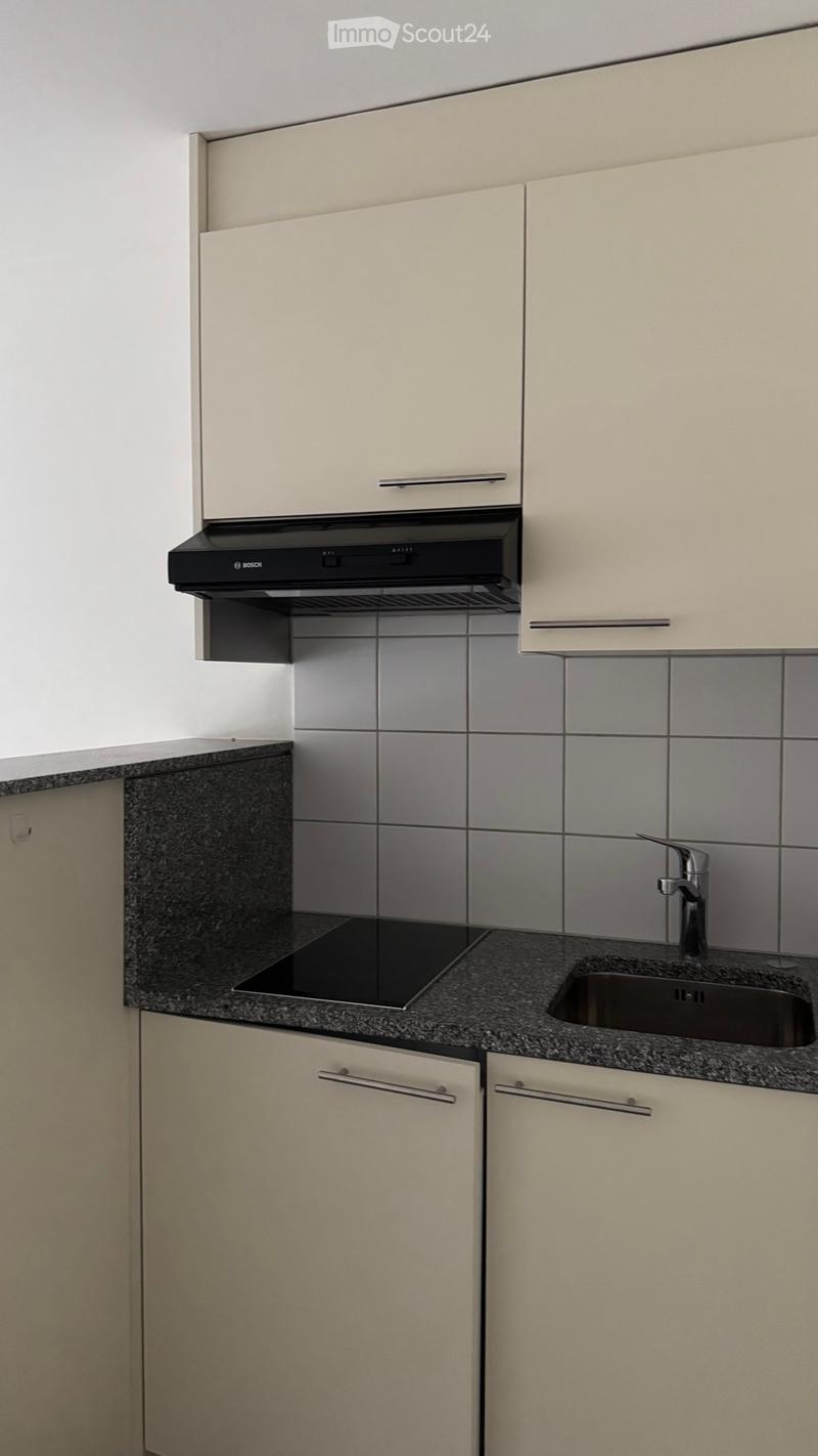 Apartment for rent (2)