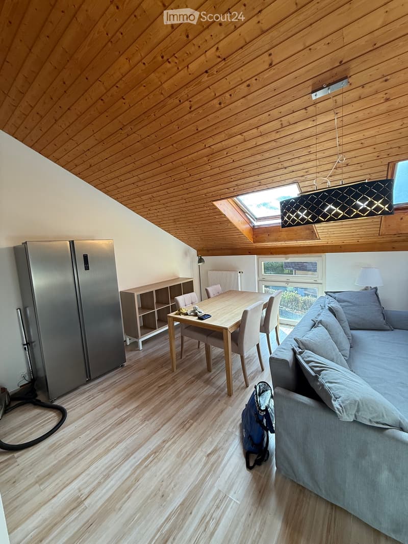 In affitto direttamente dal proprietario duplex arredato completamente attrezzato (2)