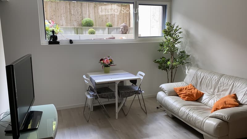 Furnished studio for rent in Nyon (2)