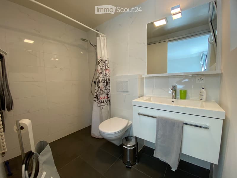 Furnished studio for rent in Nyon (3)