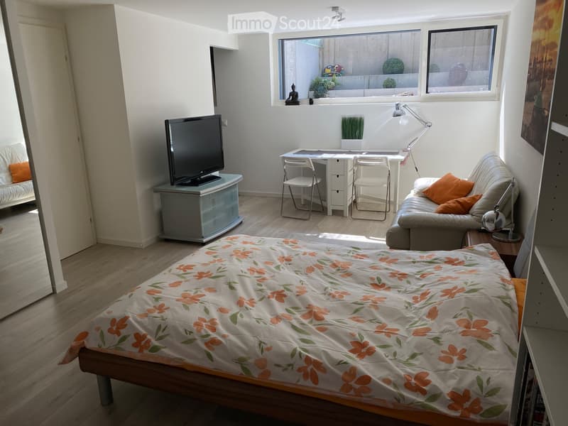 Furnished studio for rent in Nyon (4)