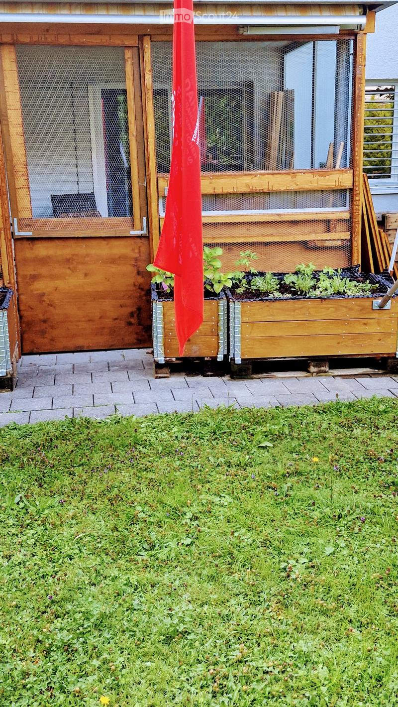 Maisonnette avec un peu de terrain (1)