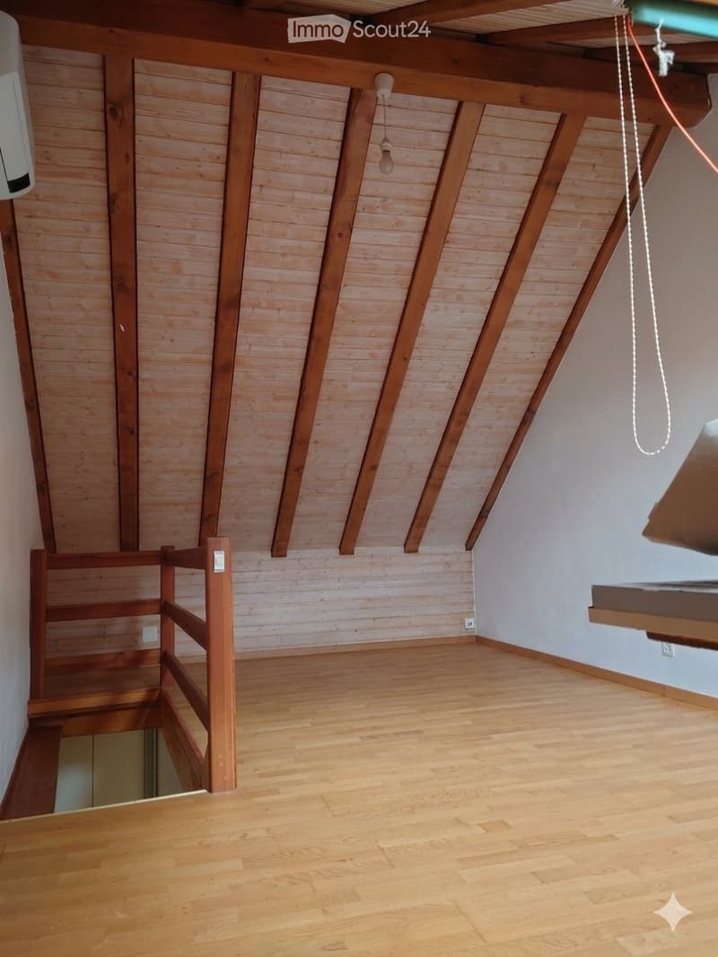 Affittasi casetta (2)