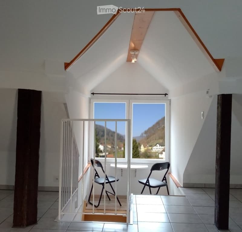 Magnificent 3.5-room attic duplex (5)