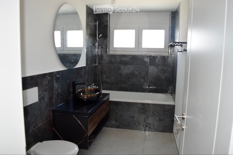 Appartement de 4,5 pièces en location dans un immeuble neuf (3)