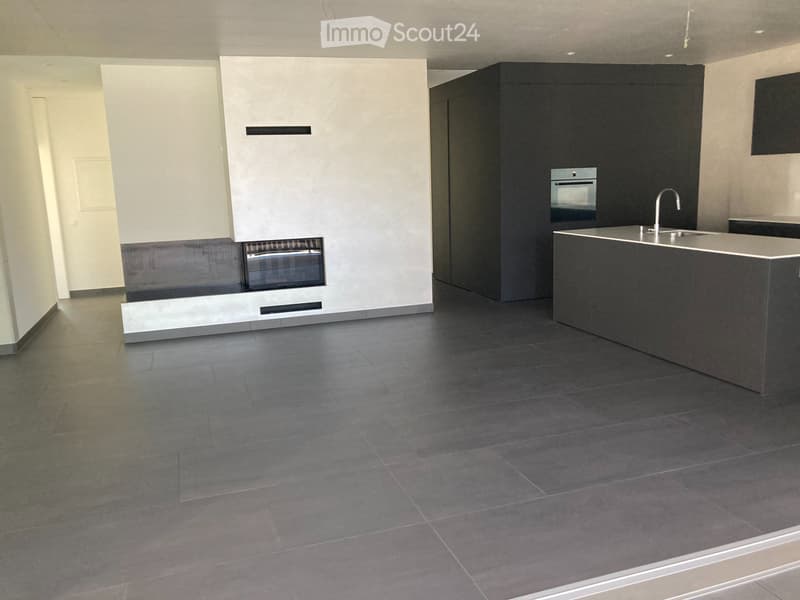 Splendid apartment in the Losone countryside (2)