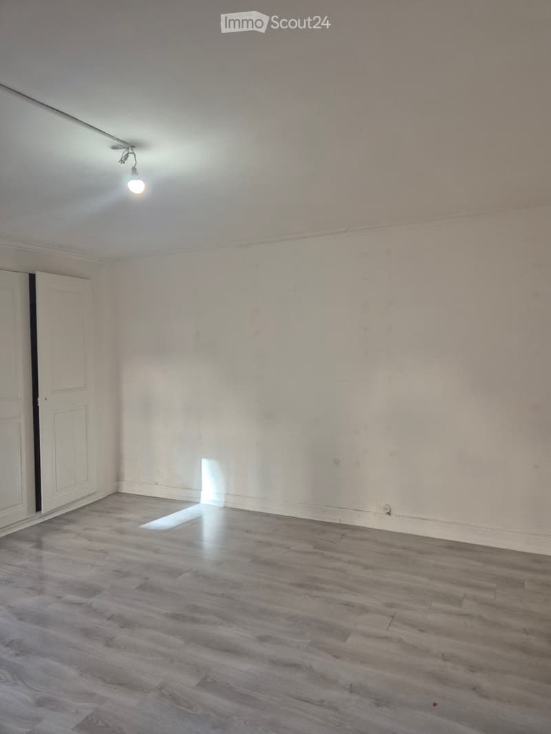 Large studio in the center of Lausanne (4)
