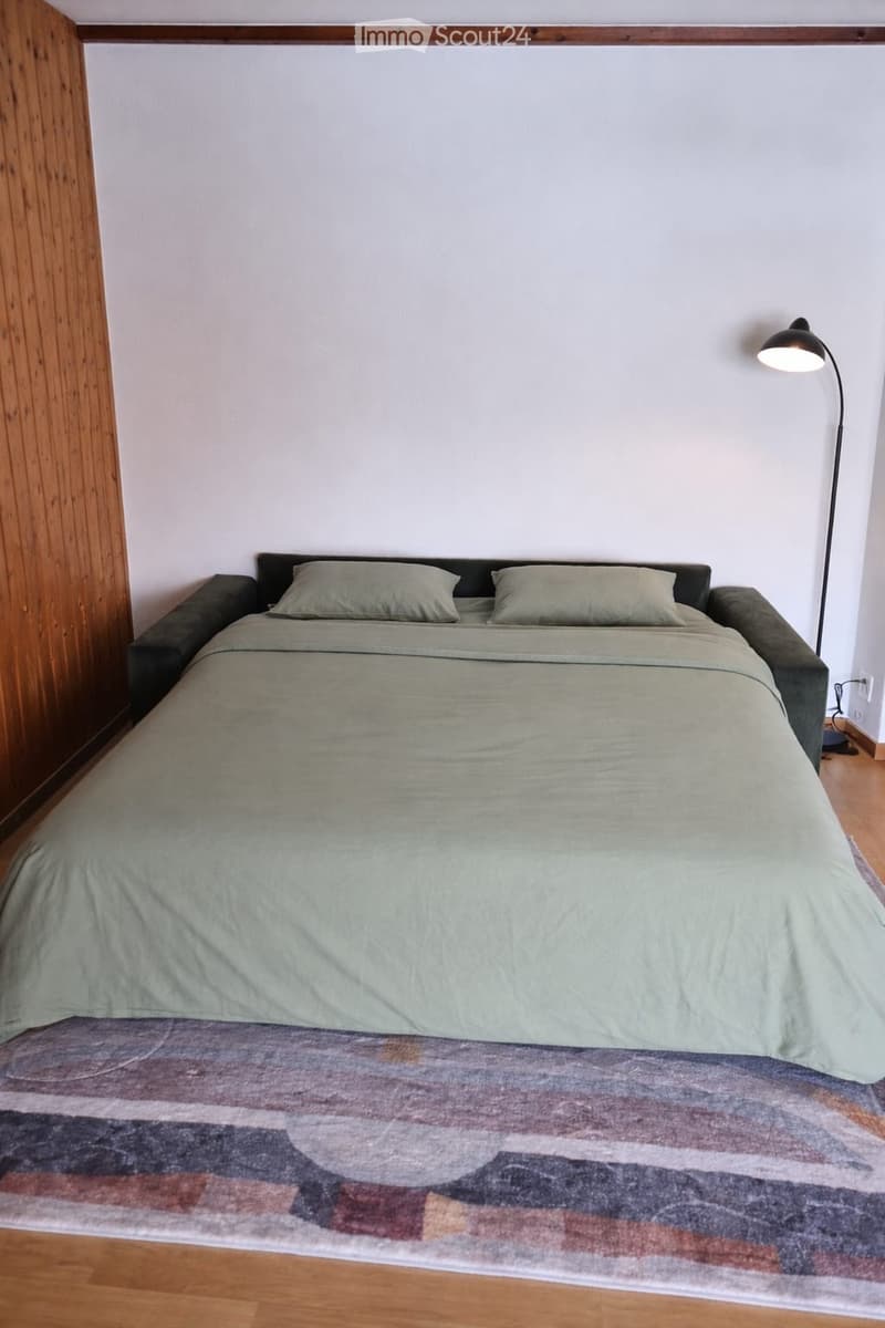 Zu vermieten Studio mit Terrasse Villars-sur-Ollon VD (3)