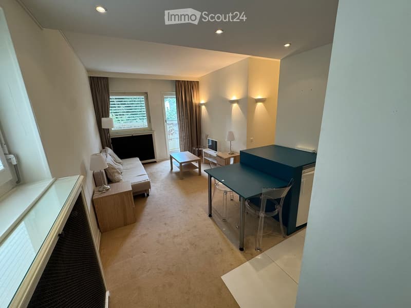 Beautiful one and a half room apartment, fully furnished (2)