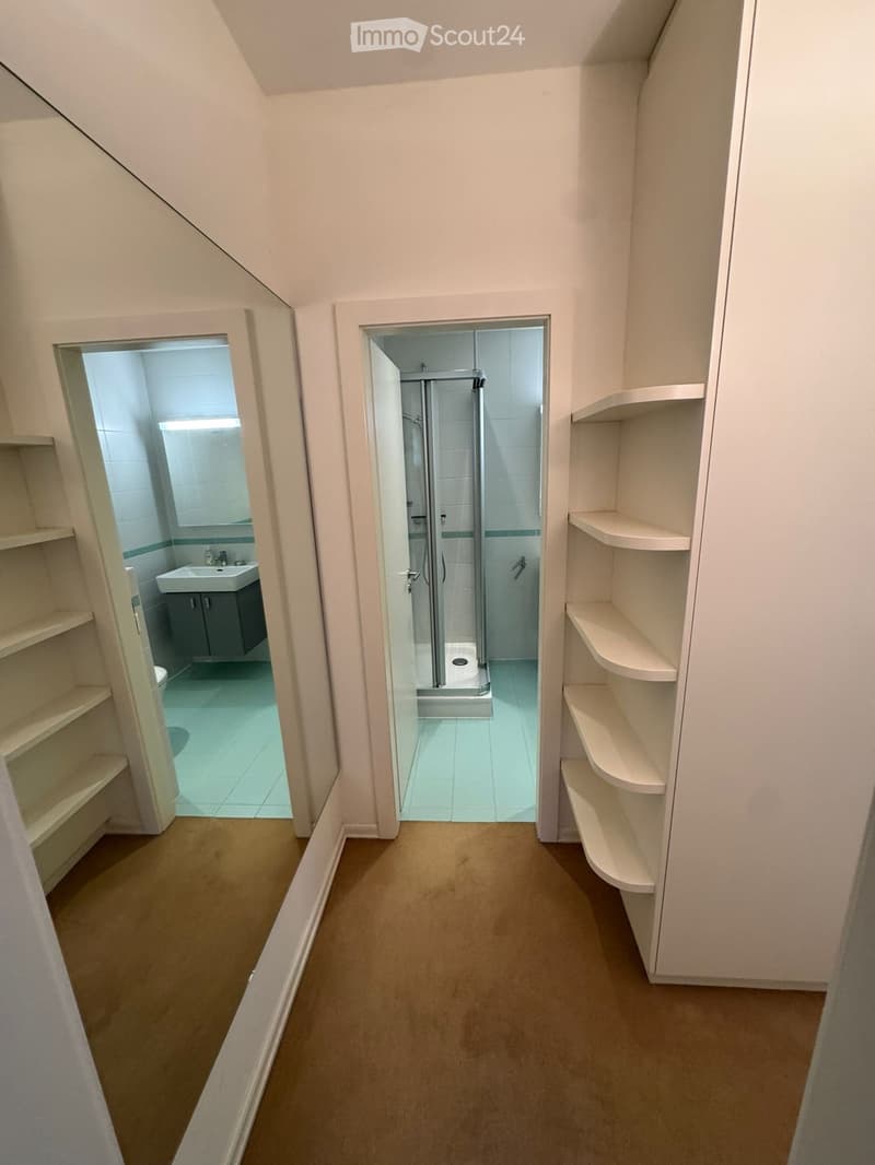 Beautiful one and a half room apartment, fully furnished (3)