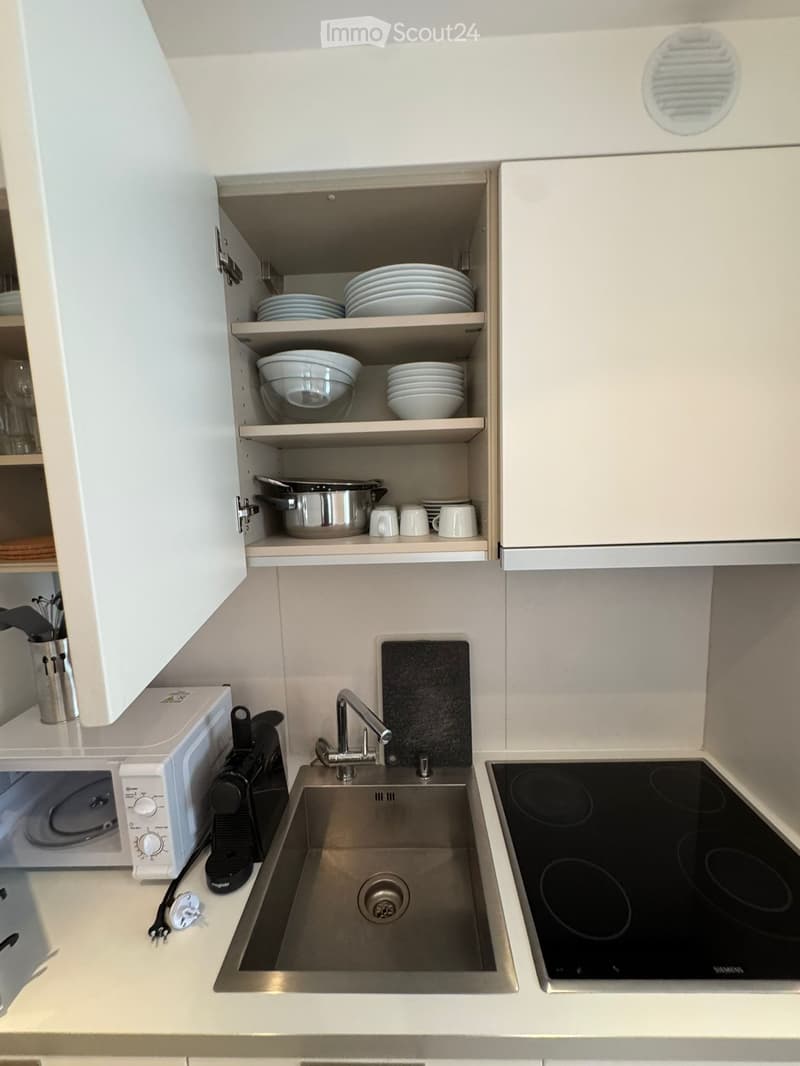Beautiful one and a half room apartment, fully furnished (5)