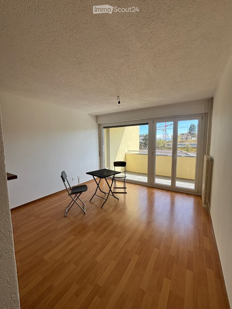 Luminoso appartamento di 3 locali con balcone e vista aperta + garage privato (2)