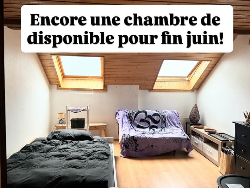 Dringend! Zimmer in Wohngemeinschaft zu vermieten in St-Blaise (2)