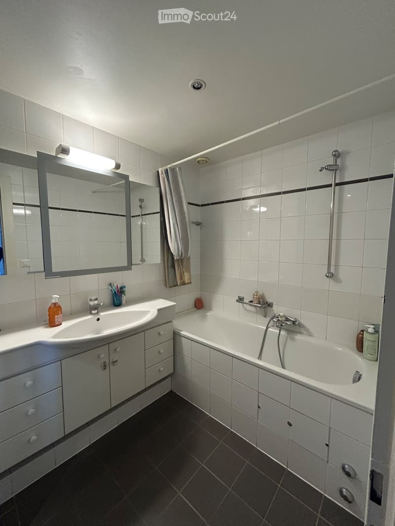 Lease takeover- apartment in plainpalais (5)