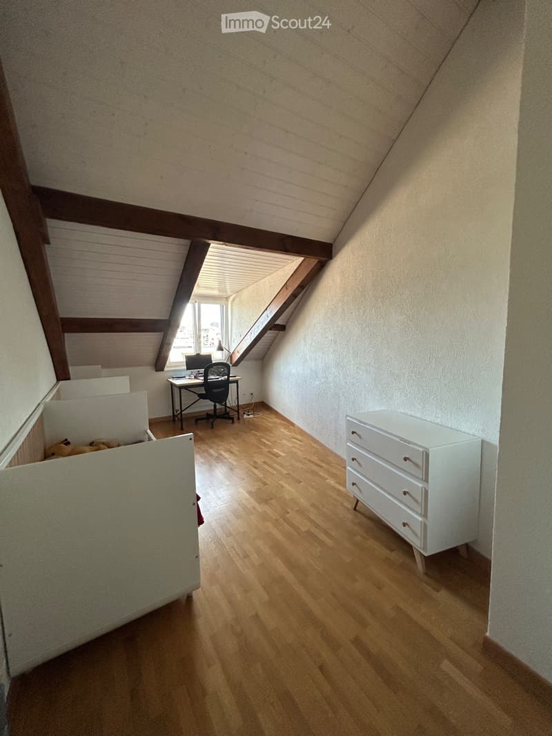 Lease takeover- apartment in plainpalais (3)