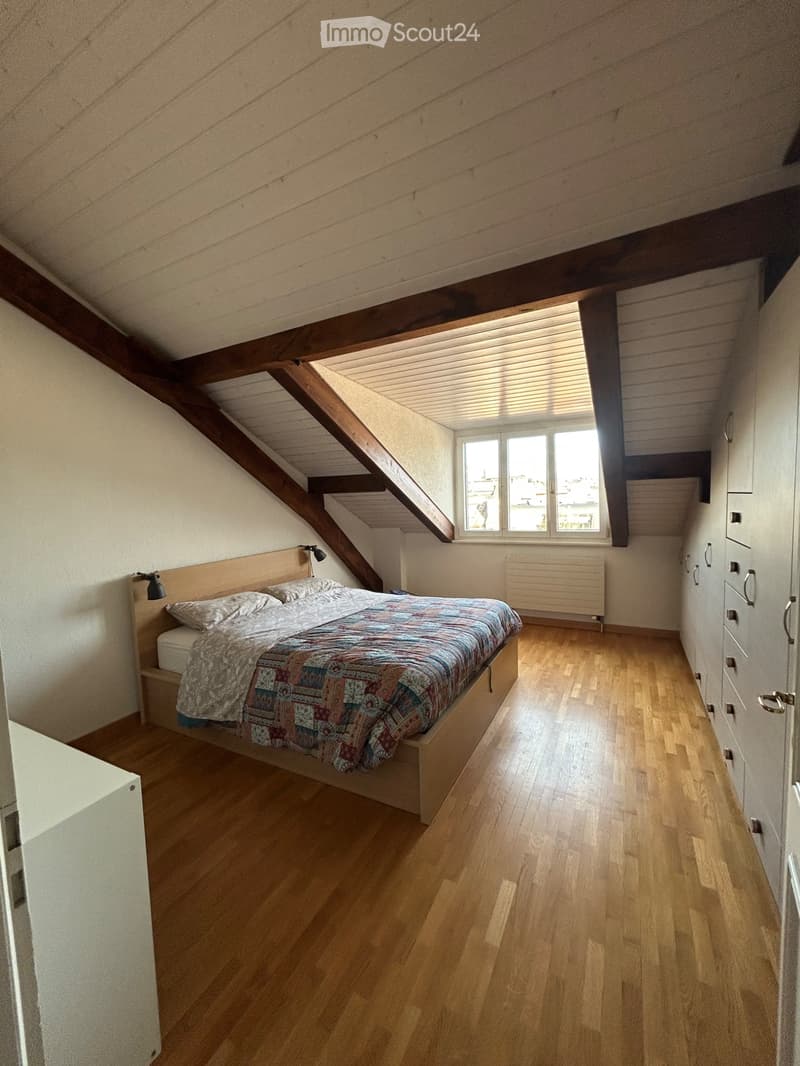 Lease takeover- apartment in plainpalais (2)