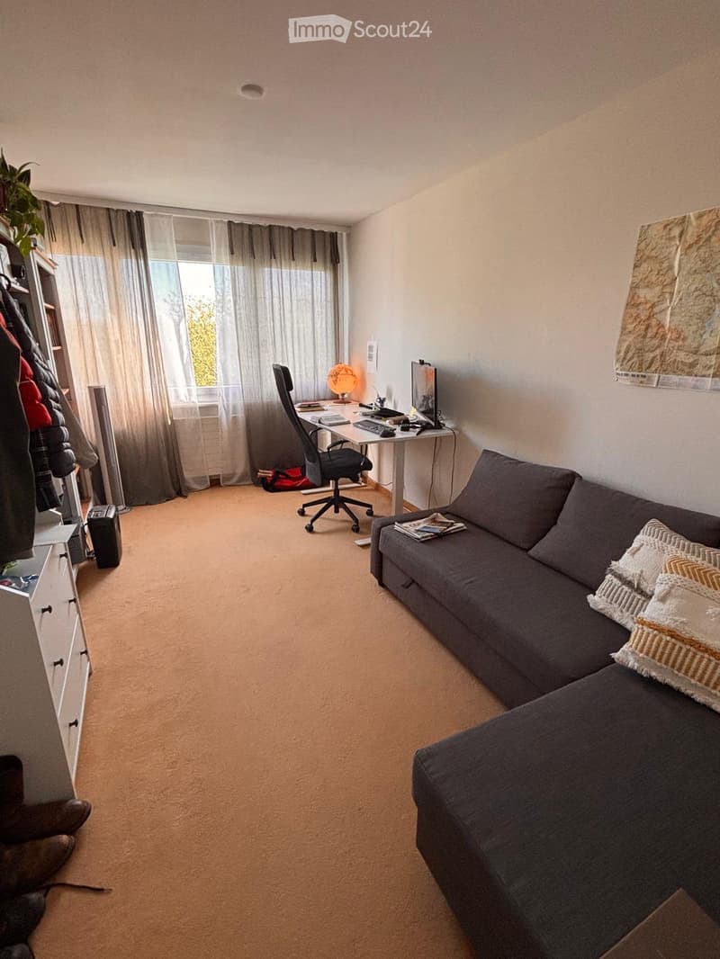 Lumineux et grand appartement de 6,5 pièces à Nyon (10)